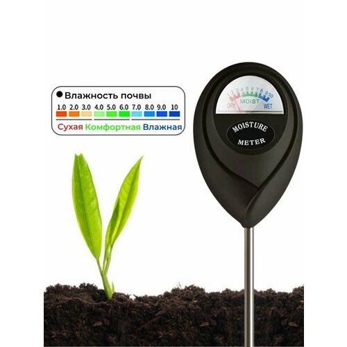 ������ ������ ������ ��������� ����� ���������� ������ ����