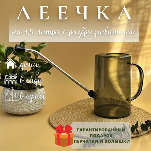 ������ ������ ����� ��� ������ 1,5 ����� ����