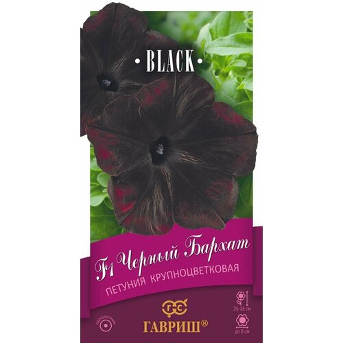 ������ ������ ������ ������� ������ ������ F1 ��������������� 4�� ��� 35�� (������) ���� ����