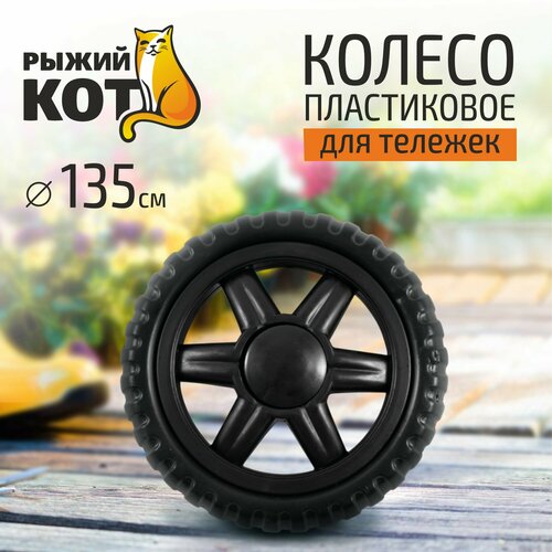 ������ ������ ������ ����������� 135�� ��� ����