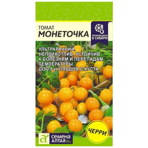 ������ ������ ����� ��������� (0.1� )������������ �������������� �����-����� ����