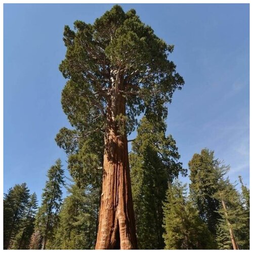 ������ ������ ������ ������ ������� ����������� 20 ��. ����