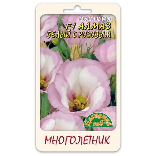 ������ ������ ����� ������� (���������) F1 ����� ����� � ������� (������ �������� ��� 5 ��.) ����