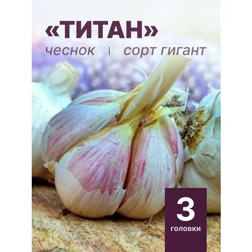 ������ ������ ���������� ������ ����� �� ������� 3 ������� ����