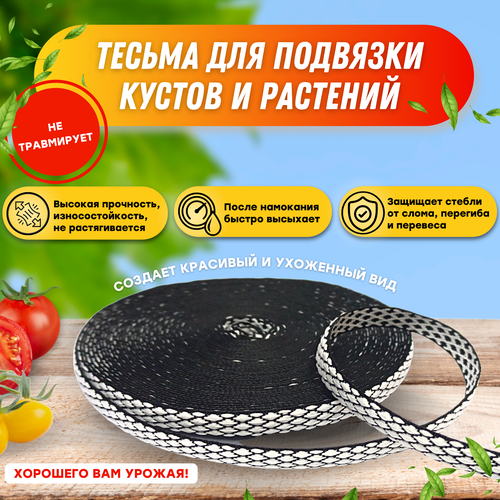 ������ ������ ������, ����� ��� �������� ������ � �������� Raccoonya 10��-100� ����