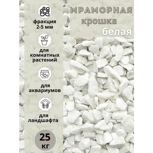 ������ ������ ��������� ������ ����� ������� 2-5�� (25�� ) ����� ����������� ��� ��������� � ������� �������� ����