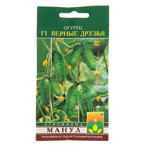 ������ ������ ������ ����� 