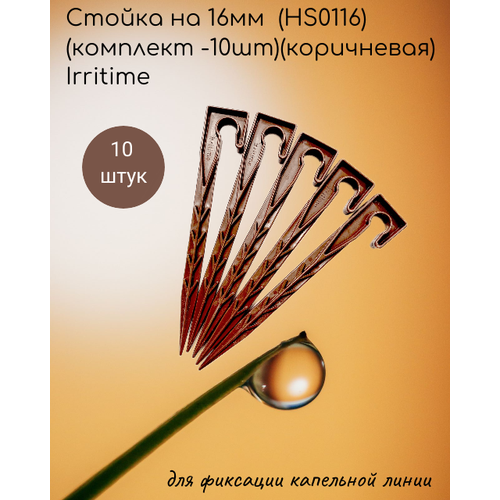 ������ ������ ������ �� 16�� (HS0116)(�������� -10��)(����������) Irritime ����