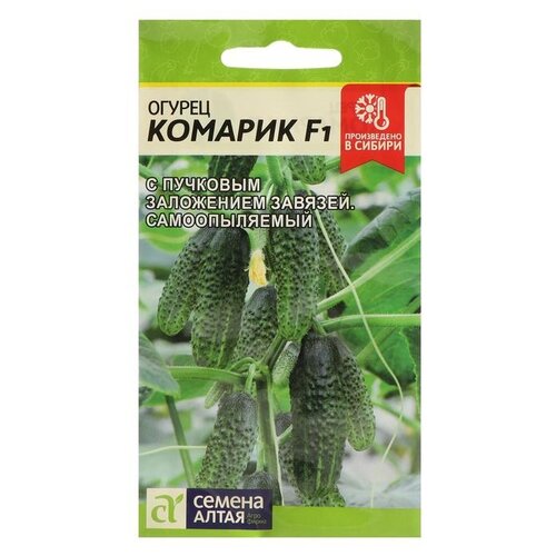 ������ ������ ������ ������ ����� ������ ������� F1 6 ��. ����