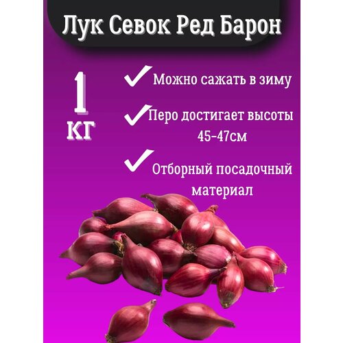 ������ ������ ��� ����� ���� 