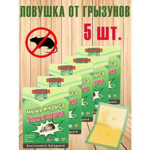 ������ ������ ������� ��������� ������� �� ���� � ����� ����