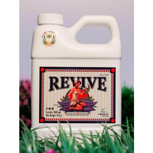 ������ ������ ���������� AN Revive 500 �� ����