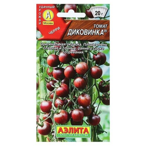 ������ ������ ������ ����� ��������� � 20 �� ����