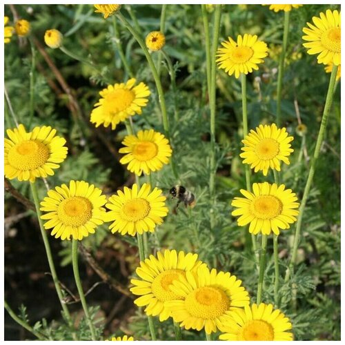 ������ ������ ������ ������ ������� ���������� 30 ��. ����