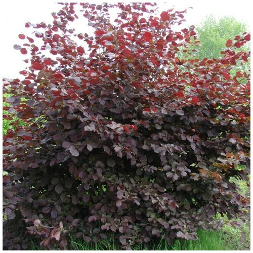 ������ ������ ������ ������ ������ ������������� 10 ��. ����