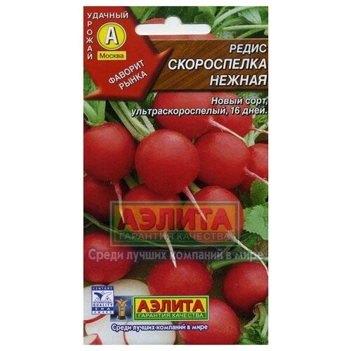 ������ ������ ������. ����� 