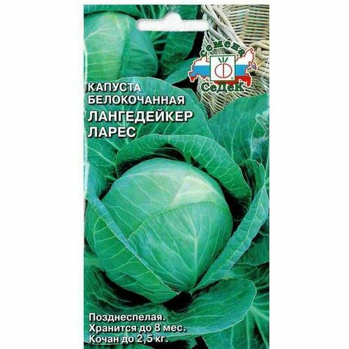 ������ ������ ������ ������� ������������ ����������� ����� �. (�����) 0,5� ����