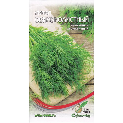 ������ ������ ����� ��������������, 1100 ����� ����