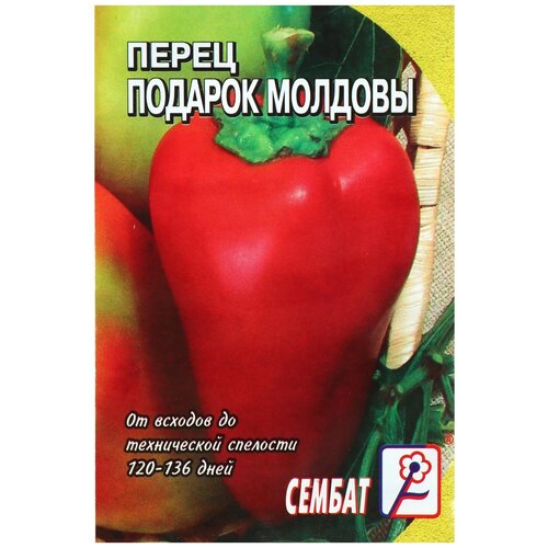 ������ ������ ������ ����� ������� 