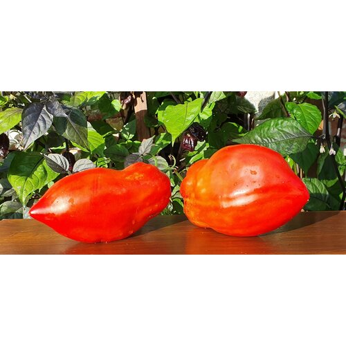 ������ ������ ������ ����� ����� ��������� (Abbatista Paste) / Seeds And Goods / � �������� zip-lock ��� ���������� 10 ����� ����