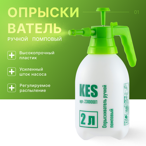 ������ ������ ������������� ������� �������� 2� ����