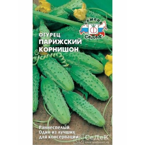 ������ ������ ������ 