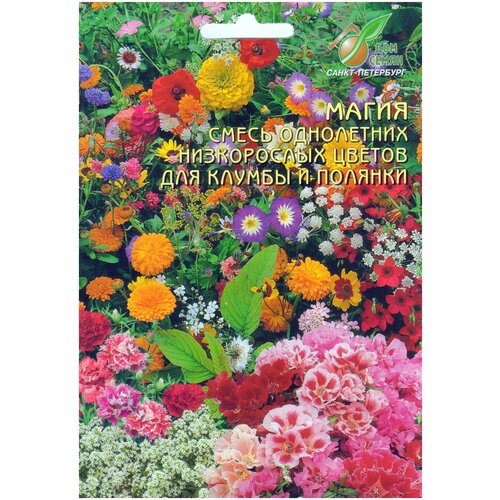 ������ ������ ����� ���������� ����������� ������ �����, 5 �� ����� ����