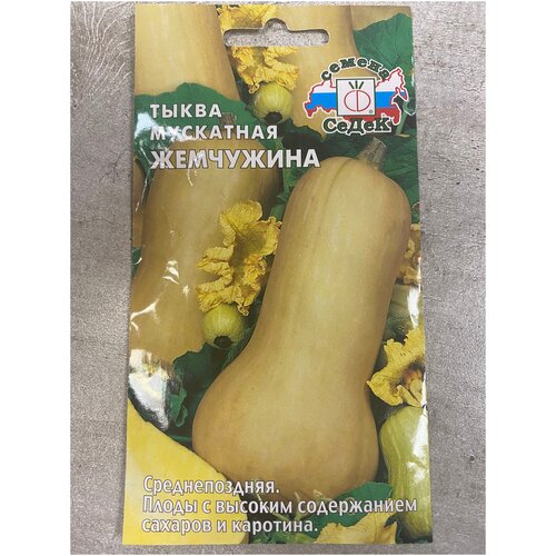 ������ ������ ����� ��������� ��������� ����