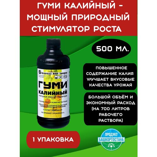 ������ ������ ���� �������� ����� ����� ��������� 500 �� ����