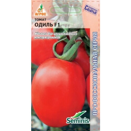 ������ ������ ������ ����� ����� 10�� ��� ������ (�����) ����