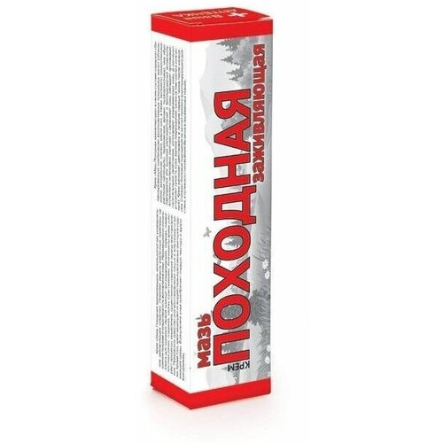 ������ ������ ���� ���������. �������� ���� �����������, ����, 40 �, 2 ��. ����