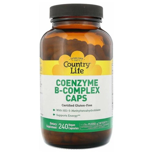   Country Life oenzyme B-complex, 240 .   -     , -,   