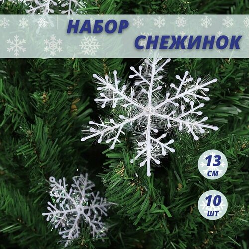 ������ ������ �������� ��� ������, ���������� ���������, ��� ������ ����, ����� 10 �� ����