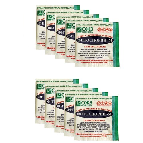 ������ ������ �������� ����������-� ������������� �������, 10 �� �� 10 � ����