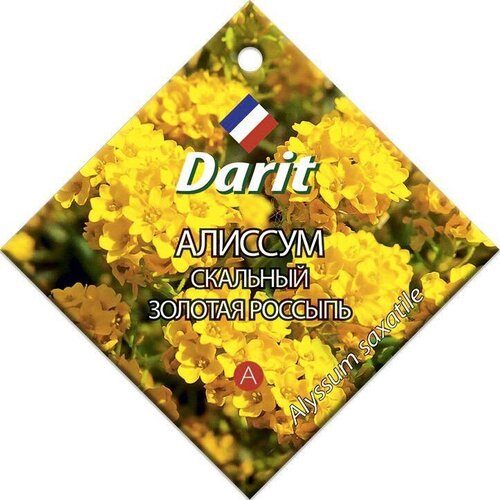 ������ ������ ������ Darit 
