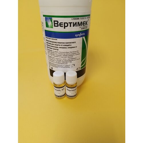 ������ ������ ���������� �������� 2 �� �� 10 �� ����