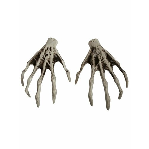 ������ ������ ����������� ���� ������ �� �������� 26 � 16 �� ����