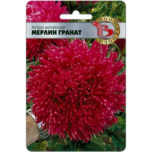 ������ ������ ������ ����� ������ ������ ��������� 50�� ��� 80�� (����������) ����