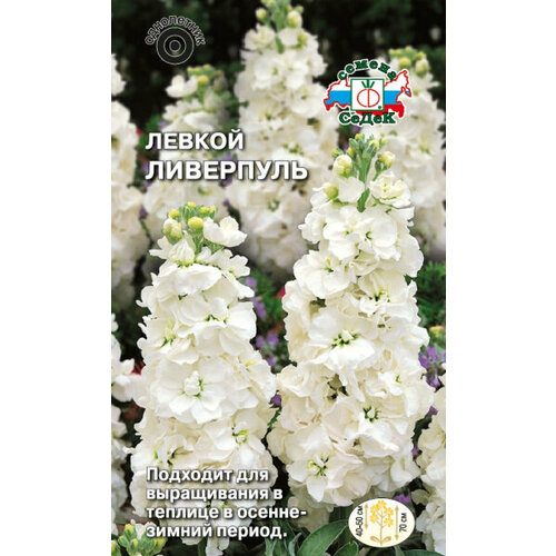 ������ ������ ������ ��������� (�������� �����, �����) 0,1� (�����) ����