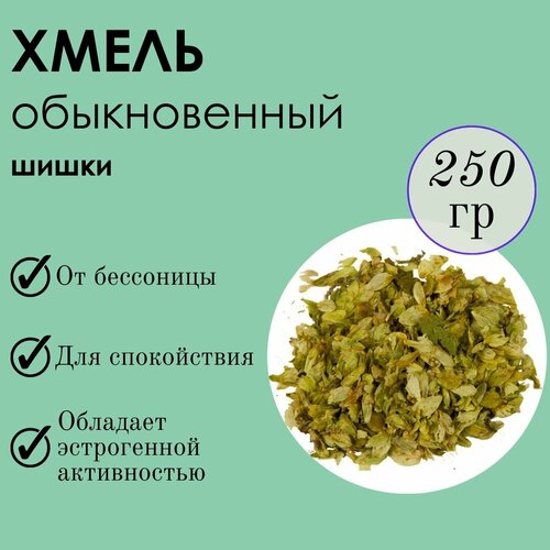 ������ ������ ����� ����� 