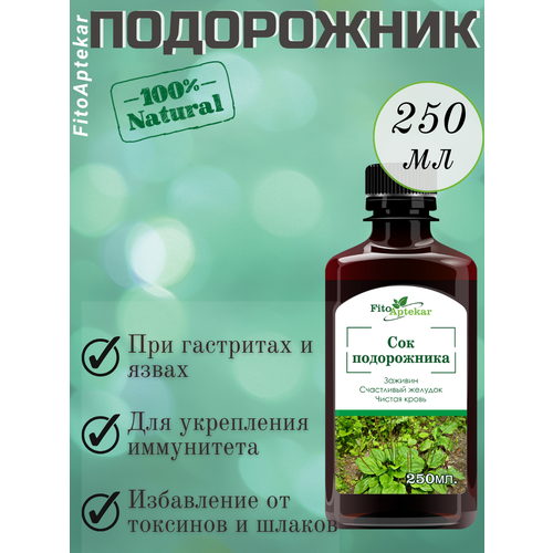 ������ ������ ��� �����������, 250�� ���� �������� ����