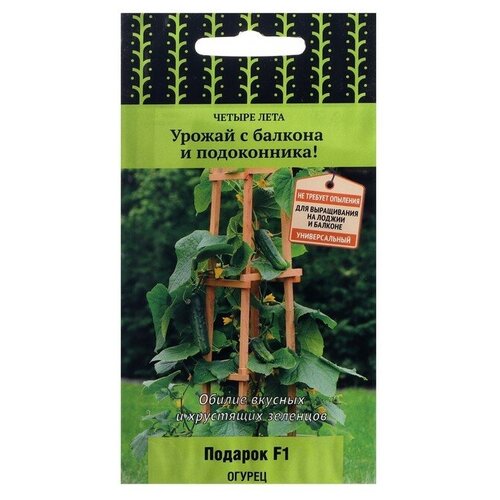 ������ ������ ������ ������ 