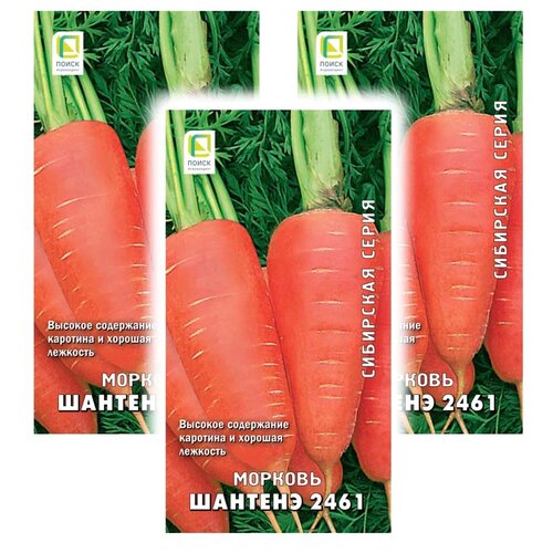 ������ ������ ������ ����� ��������� ����� ������� ������� 2461 2 �, 3 ��. ����