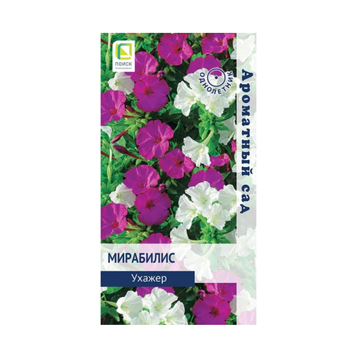 ������ ������ ������ ��������� ������ 1� ��� 80�� (�����) ��������� ��� ����