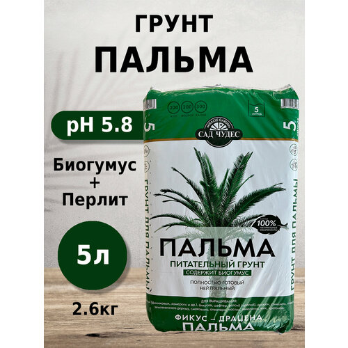 ������ ������ ����� ��� ����� ������ 5� � ����������, ��������, ���������� ��� �������, ������, �����, ������, ���������� ����