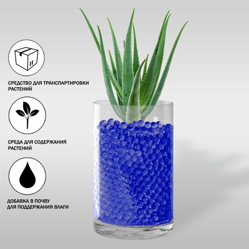 ������ ������ ��������� ��� ������ 100��, ������� ����