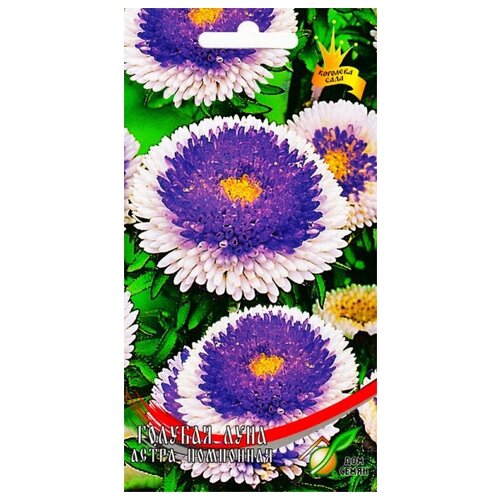 ������ ������ ����� ��������� ������� ����, 100 ����� ����