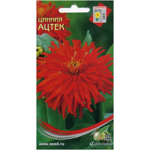 ������ ������ ����� �����, 18 ����� ����