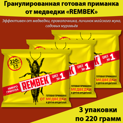 ������ ������ �������� �� �������� � ������������ 