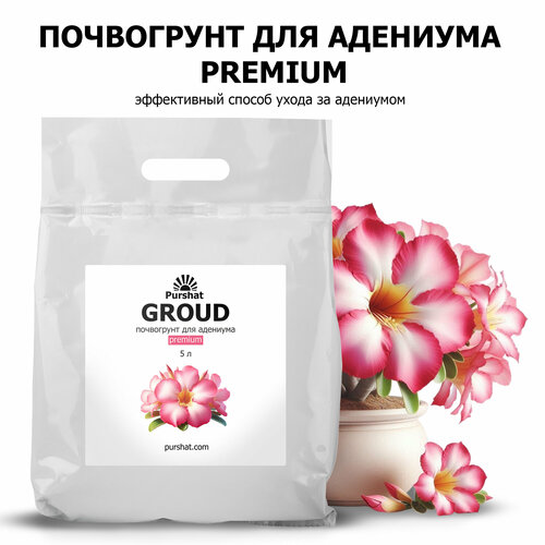 ������ ������ ���������� Premium ������ 5 � ��� �������� � �������� ��������� ������� ��� ������������� ����� ����